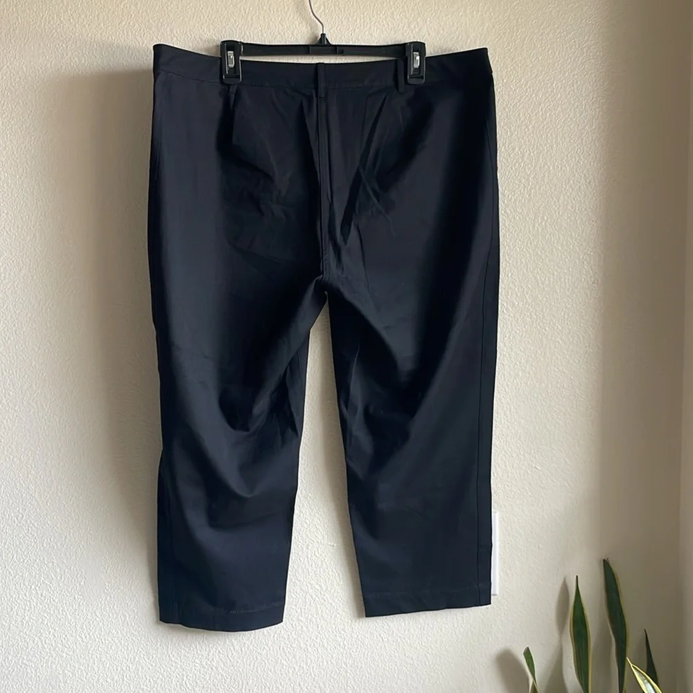 Eileen Fisher Organic Cotton Blend Stretch Black Crop Pants XL - Picture 5 of 7